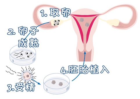 诊疗环境